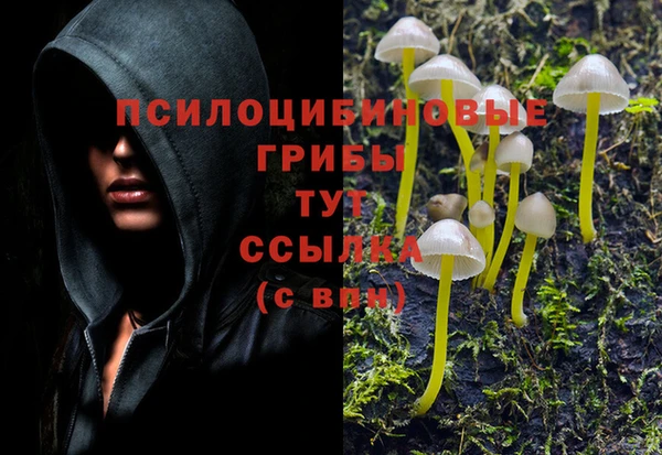 каннабис Алзамай
